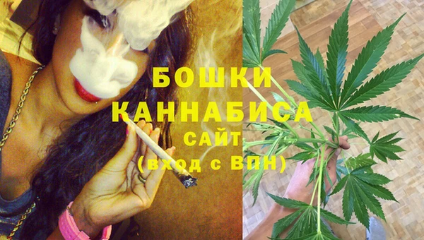 гидра Аркадак